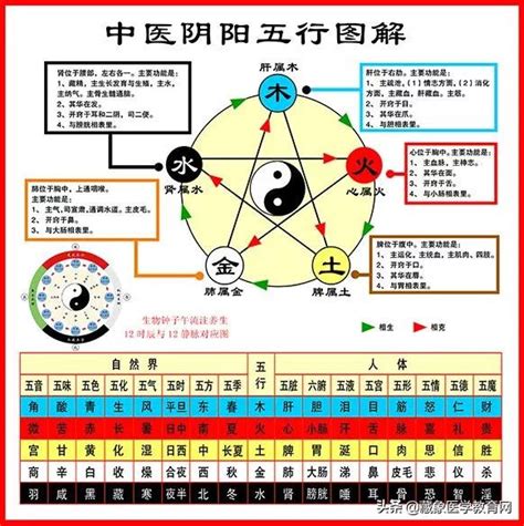 醫療 五行 屬性|中醫基礎/五行學說